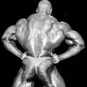 мышцы спины, как накачать мышцы поясницы, как укрепить поясницу