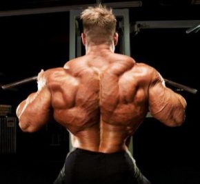широчайшие мышцы спины- упражнения для мышц спины