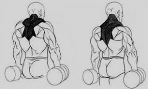 Упражнения с гантелями для спины