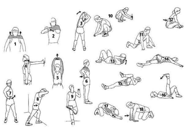 Стретчинг упражнения для спортсменов и любителей