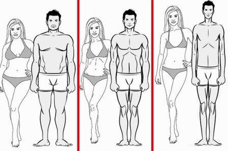 программы тренировок по типу телосложения для женщин, мужчин, для эктоморфа, для мезоморфа, для эндоморфа, тип телосложения